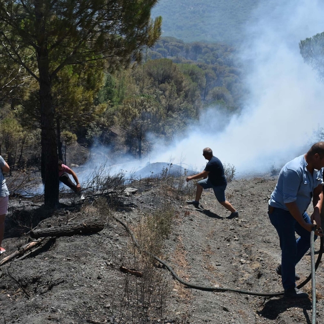 Balıkesir Gömeç'teki orman yangını 3'üncü gününde (3)