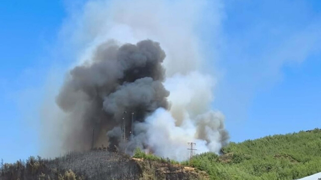 Muğla'daki yangınlarda 5 bin hektardan fazla alan zarar gördü (4)