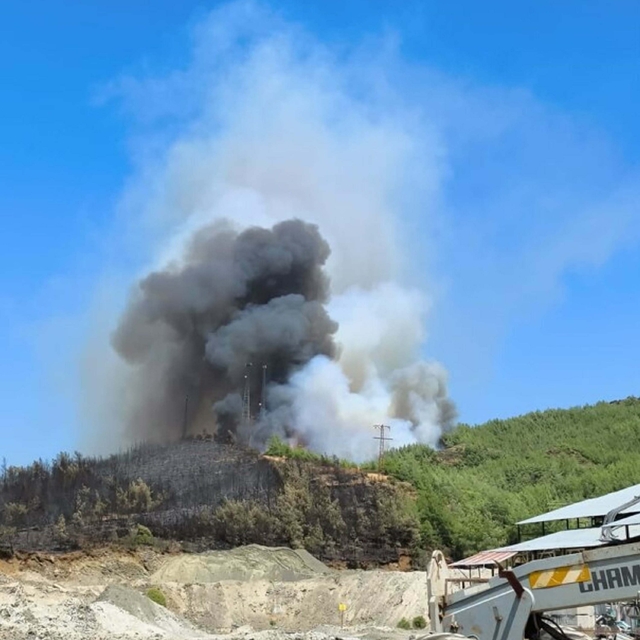 Muğla'daki yangınlarda 5 bin hektardan fazla alan zarar gördü (4)