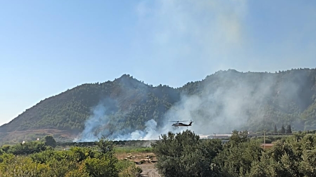 Dalaman'da tarım alanındaki yangın kısa sürede söndürüldü