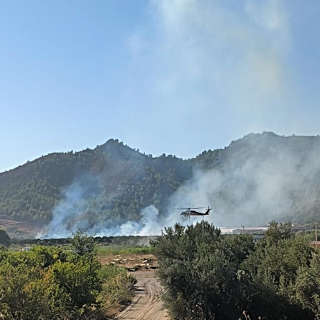 Dalaman'da tarım alanındaki yangın kısa sürede söndürüldü