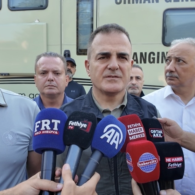 Muğla'daki yangınlarda 5 bin hektardan fazla alan zarar gördü (5)