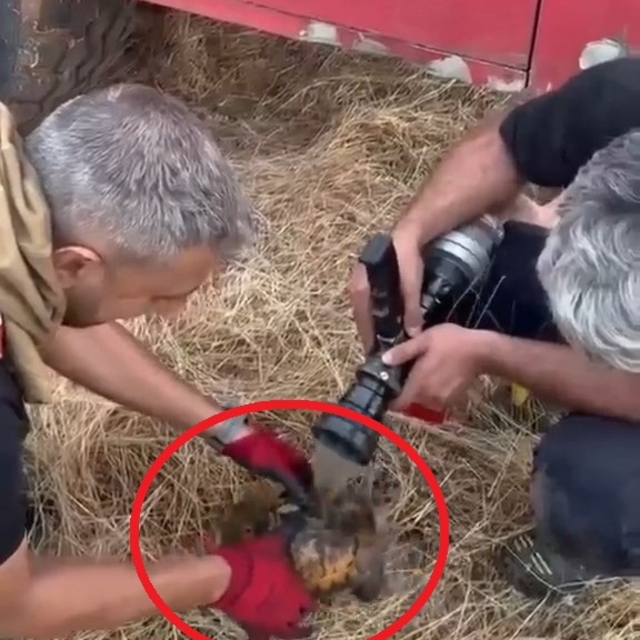 Lice kırsalında örtü yangını (2)
