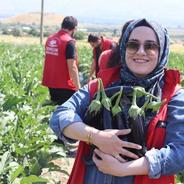 Gençlik merkezi gönüllüleri patlıcan hasadına katıldı