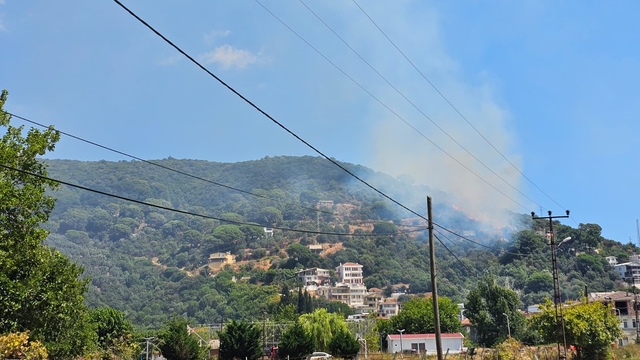 Marmara Adası'nda orman yangını