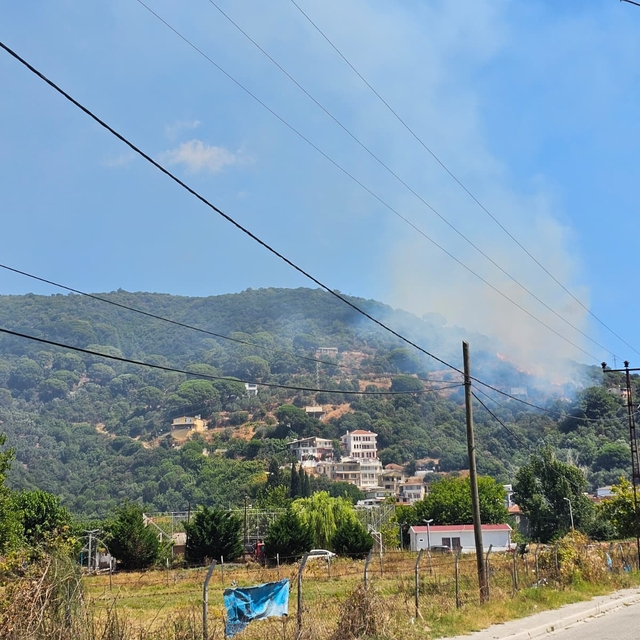 Marmara Adası'nda orman yangını
