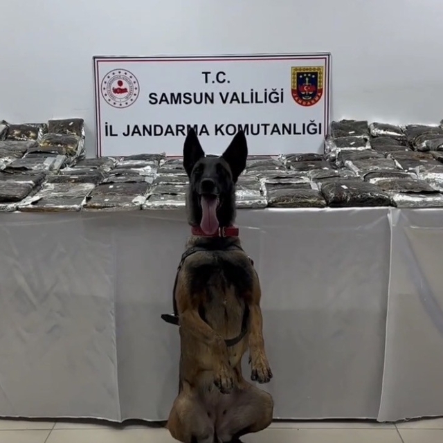 Samsun'da tıra gizlenmiş 132 kilo toz esrar ele geçirildi