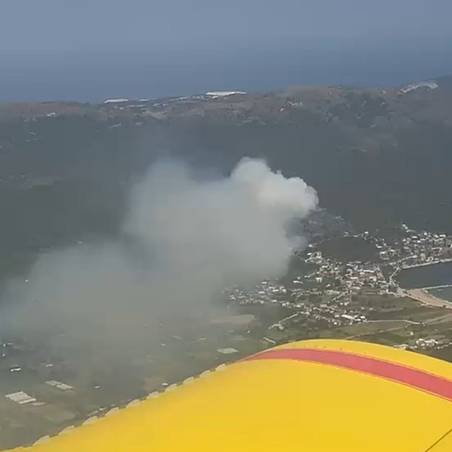 Marmara Adası'nda orman yangını (2)