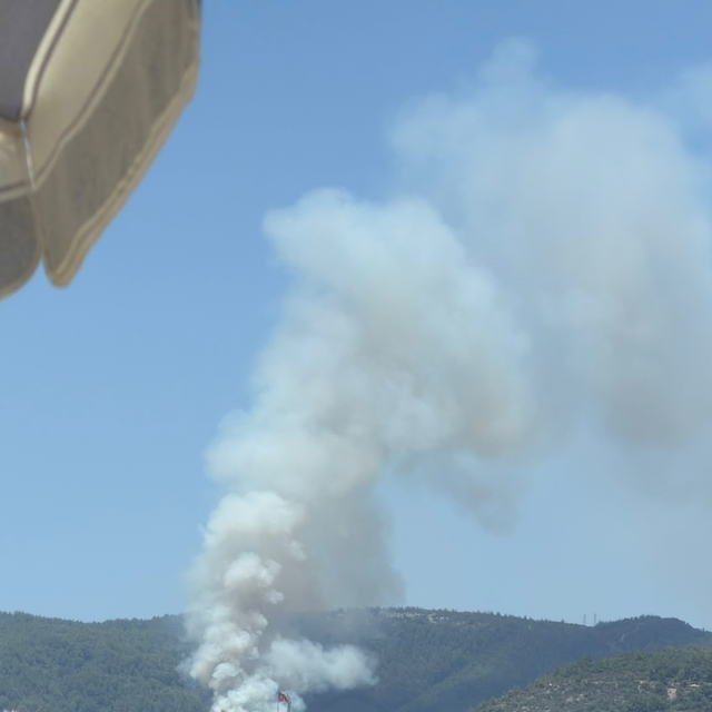 Alanya'da orman yangını