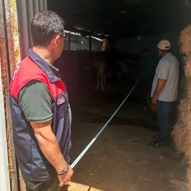 Elazığ'da büyükbaş işletmeleri denetlendi