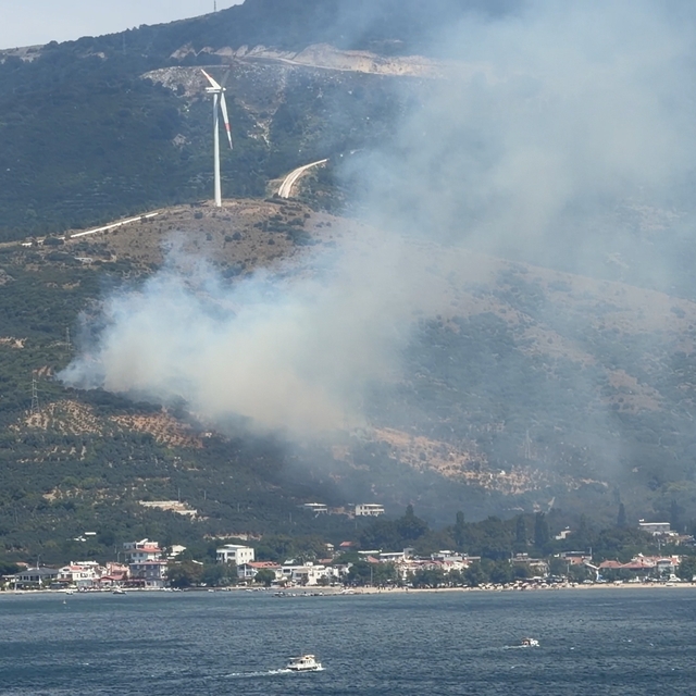 Erdek'te orman yangını