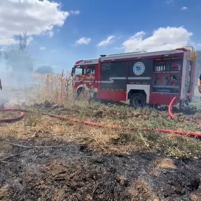 Tekirdağ'da anız yangını 100 dekarlık alana zarar verdi
Dumandan etkilenen...