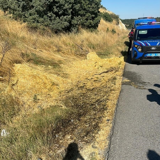 Yol kenarına atılan sigara izmariti yangına neden oldu