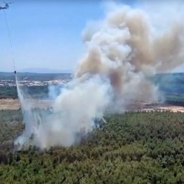 İzmir Buca'da orman yangını çıktı
