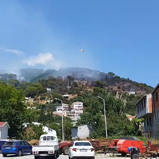 Marmara Adası'nda orman yangını (3)