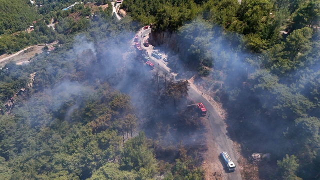 Alanya'da orman yangını 3 saatte kontrol altına alındı
Yangında yaklaşık 5 dönüm ormanlık alan zarar gördü