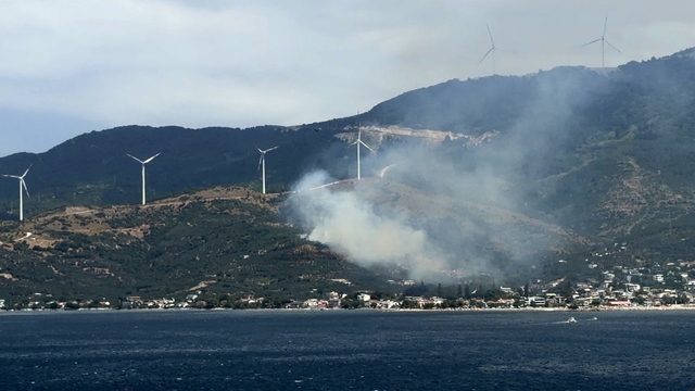 Marmara'da orman yangınına neden olan şüpheli gözaltına alındı
