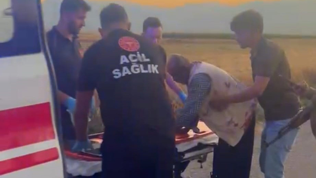 Gaziantep'te hayvan otlatma kavgası; 2 yaralı