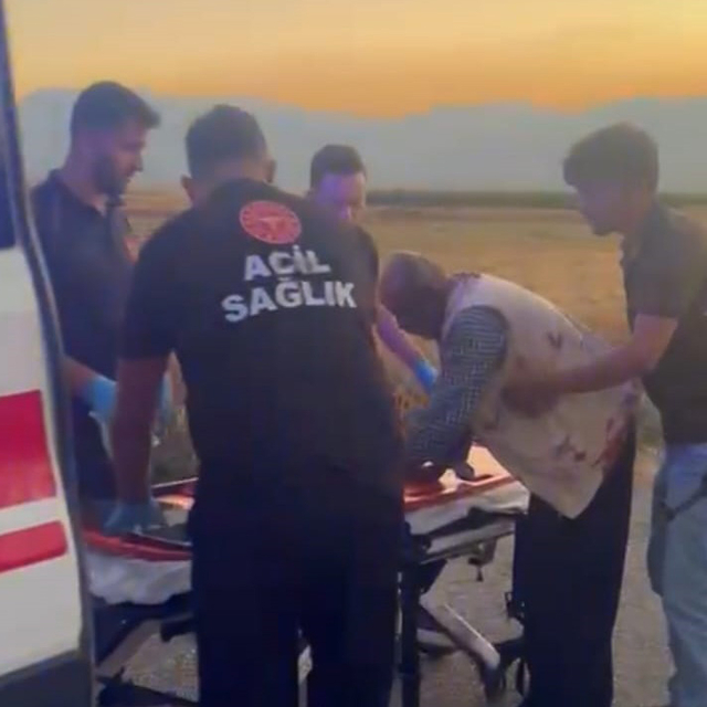 Gaziantep'te hayvan otlatma kavgası; 2 yaralı