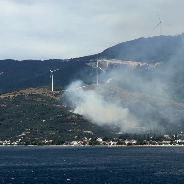 Marmara'da orman yangınına neden olan şüpheli gözaltına alındı