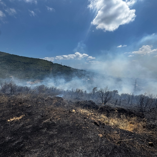 Erdek'te zeytinlik ve makilik alanda yangın- Yeniden