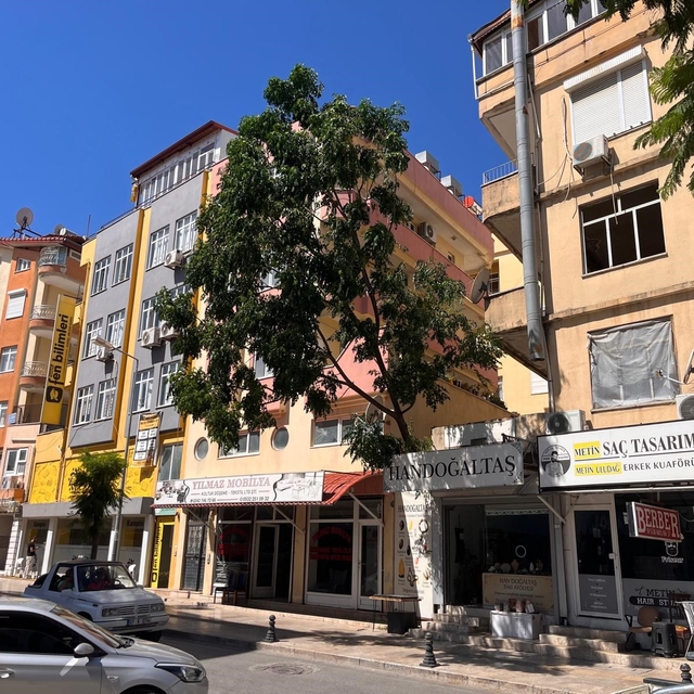 Fırtınanın devirdiği ağaç nedeniyle yol trafiğe kapatıldı