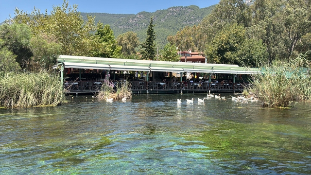 Galeri