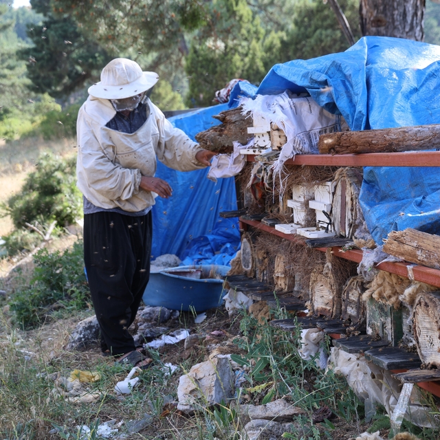 Emekli imam, Toroslar'ın zirvesinde arılarla doğal hayatı seçti