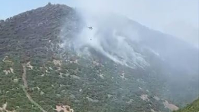 Elazığ'da orman yangını (2)