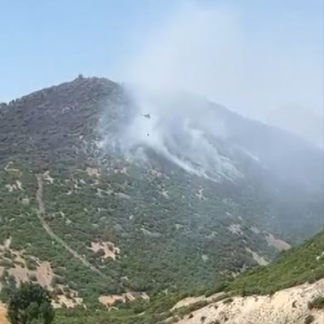 Elazığ'da orman yangını (2)