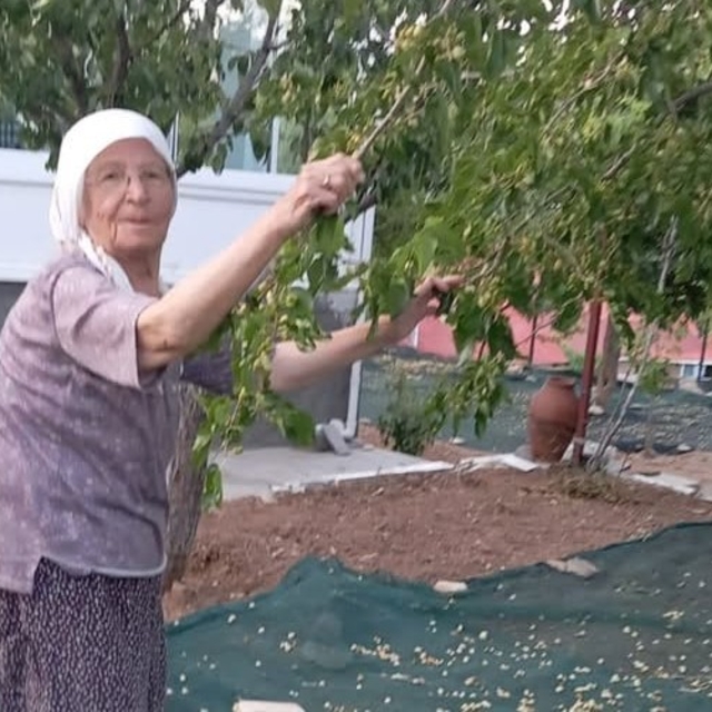 85 yaşındaki çift, geleneksel yöntemlerle dut pekmezi üretimini sürdürüyor