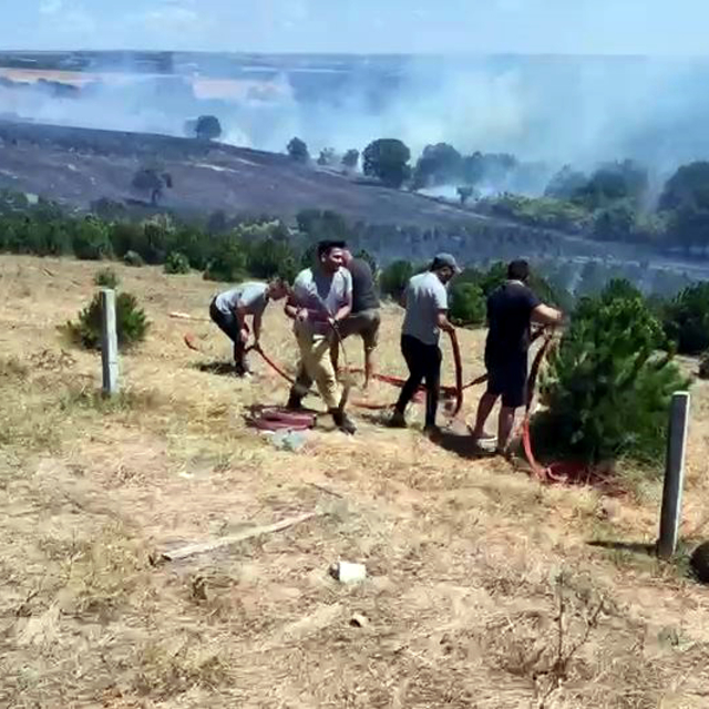 Tekirdağ'da yangın; 100 dekar alan zarar gördü