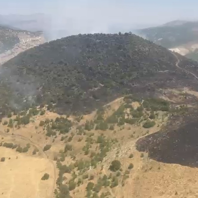 Elazığ'daki orman yangını kontrol altına alındı