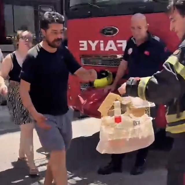 Mersin'de yangında mahsur kalan cennet papağanını itfaiye kurtardı