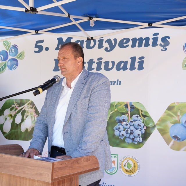 İznik'te 5. Maviyemiş Festivali'ne yoğun ilgi