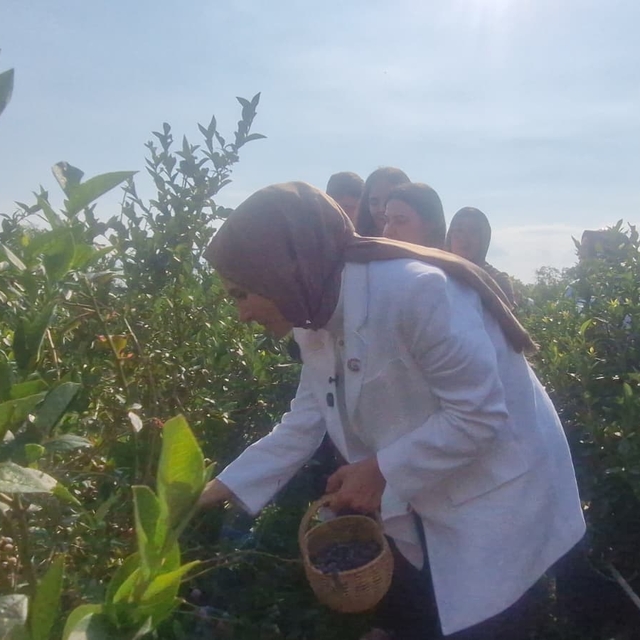 Bakan Göktaş açıkladı, şehit aileleri ve gazilere yönelik haklar genişliyor...