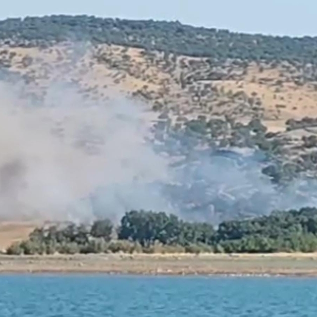 Diyarbakır'da ağaçlık alanda yangın