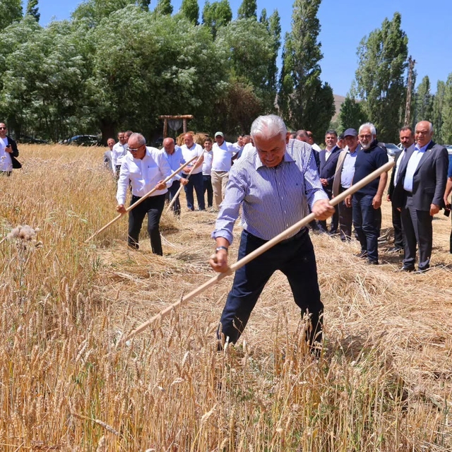 Binali Yıldırım Harman Şenliği'nde tırpan salladı