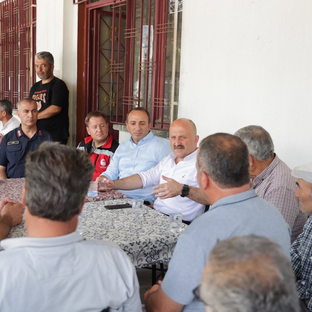 Vali Varol: "Yanan alanlar en kısa sürede yeniden yeşillendirilecek"