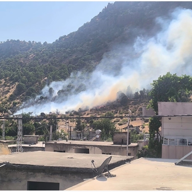 Siirt'te orman yangını büyümeden kontrol altına alındı