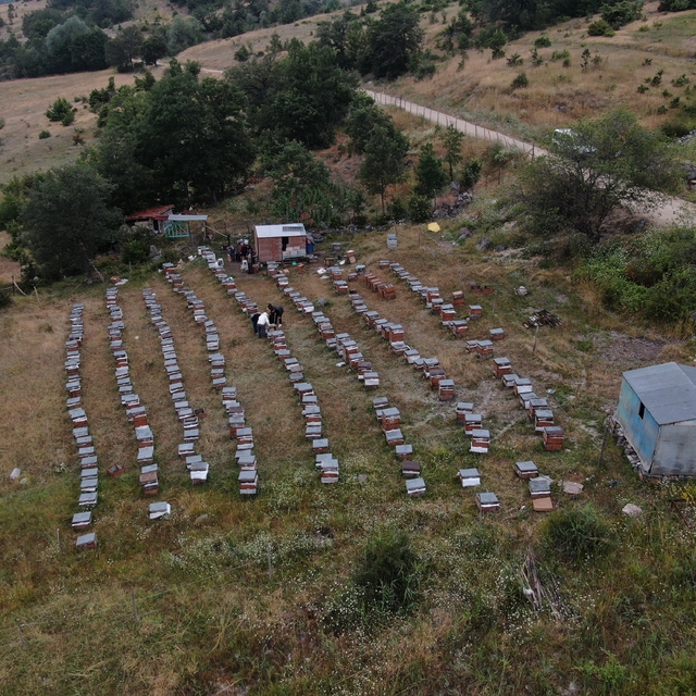 Arıcılıkta yapay zeka dönemi
Tokatlı arıcı, yapay zeka destekli mobil siste...