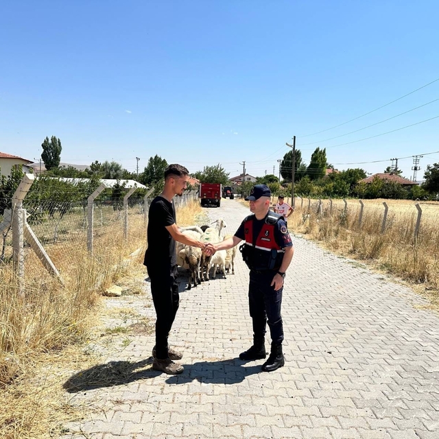 Hayvanları kaybolan çiftçinin yardımına Jandarma ekipleri koştu