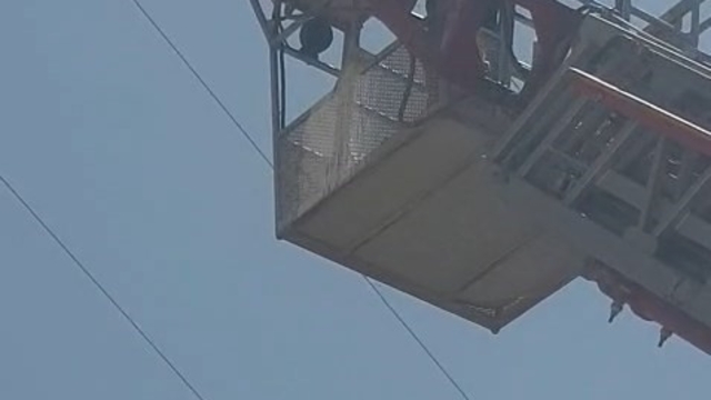Elazığ'da yaralı leylek itfaiye tarafından kurtarıldı