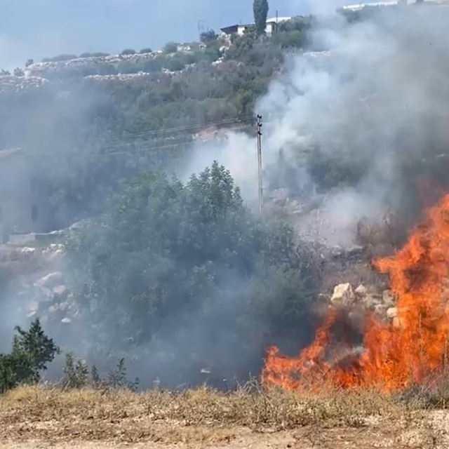 Çalılık alanda başlayan yangın büyümeden söndürüldü
