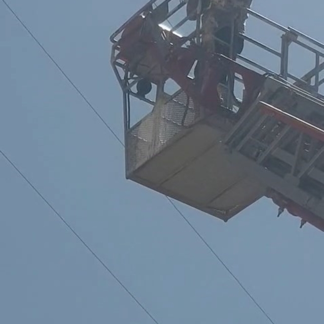 Elazığ'da yaralı leylek itfaiye tarafından kurtarıldı