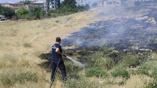 Van'da anız yangını