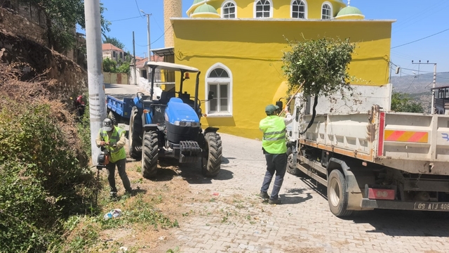 Aydın Büyükşehir'den Karpuzlu'daki yeşil alanlarda bakım ve düzenleme çalışması