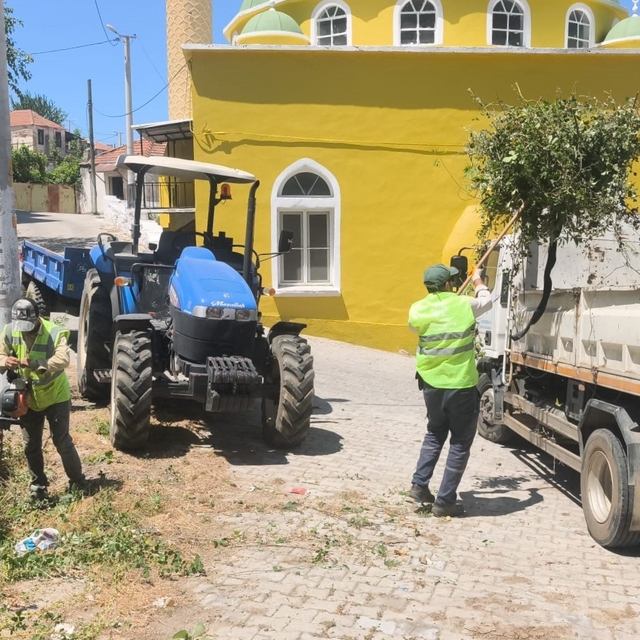 Aydın Büyükşehir'den Karpuzlu'daki yeşil alanlarda bakım ve düzenleme çalış...