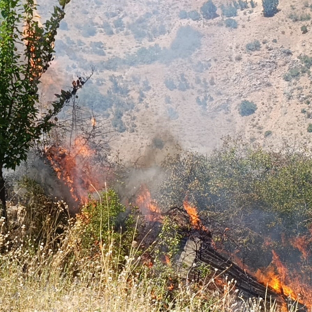 Malatya'da meyve bahçesi ve üzüm bağlarında yangın