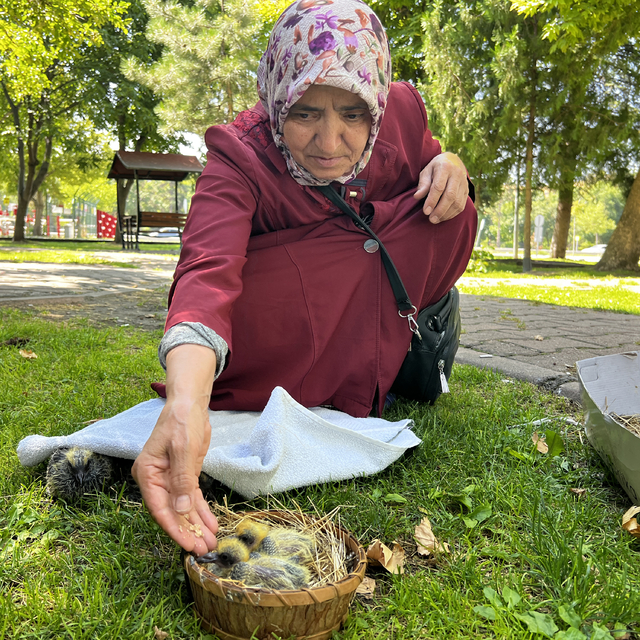 Apartman boşluğunda bulduğu 5 güvercin yavrusunu ekiplere teslim etti